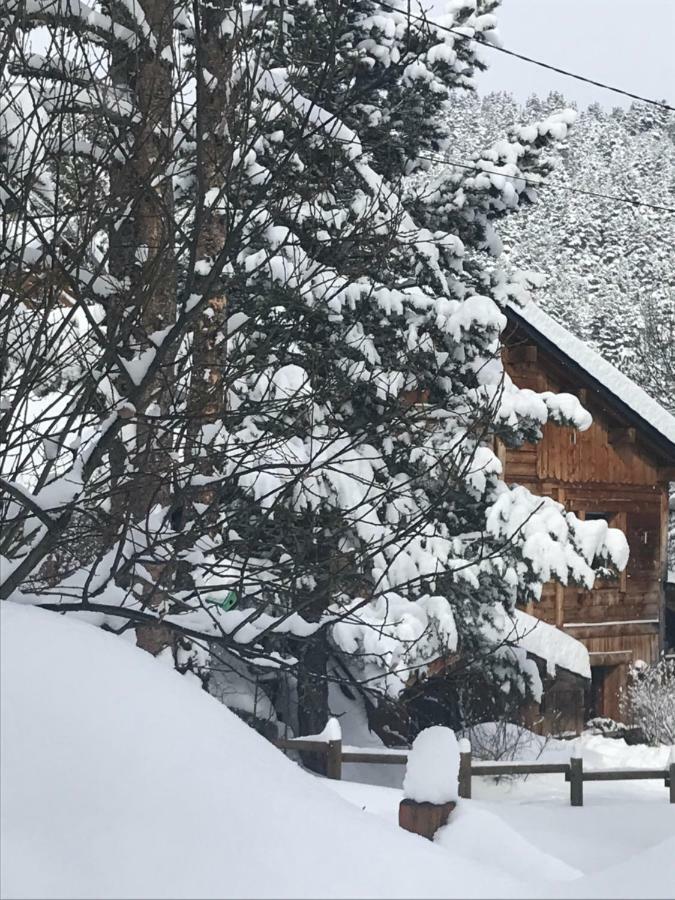 Chalet Pomme De Pin 5 Chambres 12 A 14 Personnes Форміґер Екстер'єр фото
